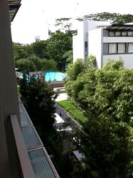 The Teneriffe (D10), Terrace #566806581